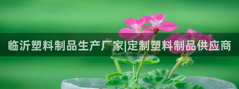 太阳商城贵宾会