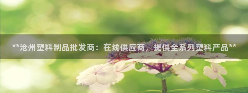 太阳集团是什么公司旗下的