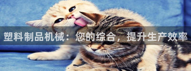 太阳成集团控股：塑料制品机械：您的综合，提升生产效率