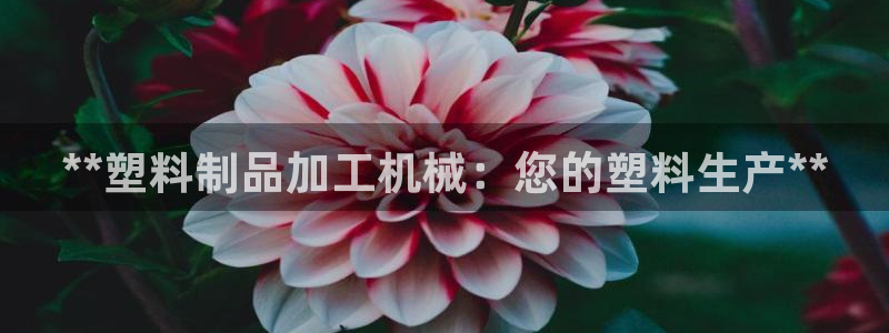 太阳集团股份有限公司：**塑料制品加工机械：您的塑料生产**