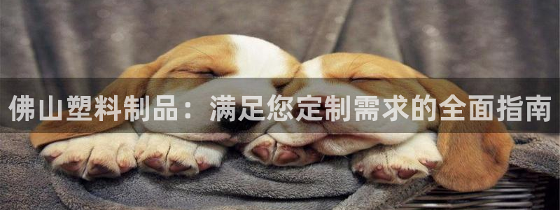 古天乐和太阳集团：佛山塑料制品：满足您定制需求的全面指南