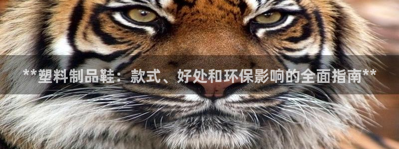 太阳集团网站入口官网网址：**塑料制品鞋：款式、好处和环保影