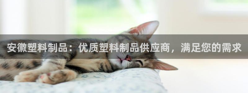 太阳科技集团：安徽塑料制品：优质塑料制品供应商，满足您的需求