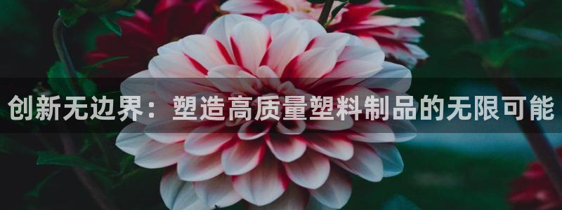太阳集团城网2018：创新无边界：塑造高质量塑料制品的无限可