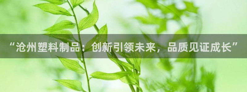 太阳成集团tyc234cc集团产业：“沧州塑料制品：创新引领