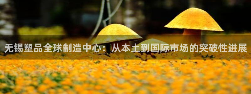 古天乐代言澳门太阳游戏网址：无锡塑品全球制造中心：从本土到国