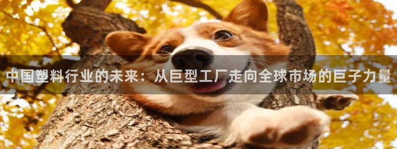 2138cn太阳集团古天乐：中国塑料行业的未来：从巨型工厂走
