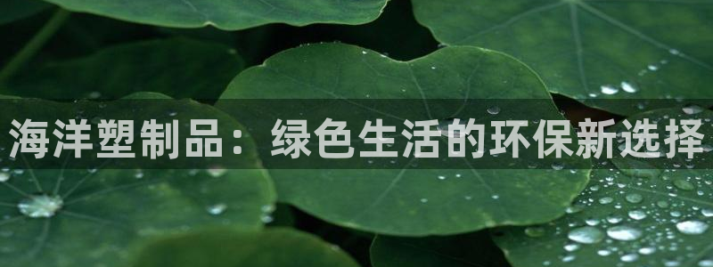 太阳集团2007：海洋塑制品：绿色生活的环保新选择