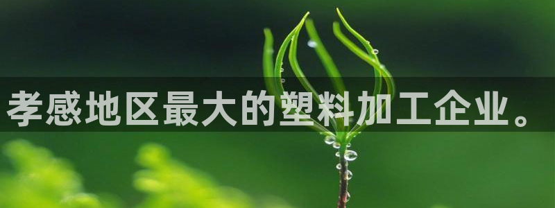 太阳集团城网址古天乐：孝感地区最大的塑料加工企业。