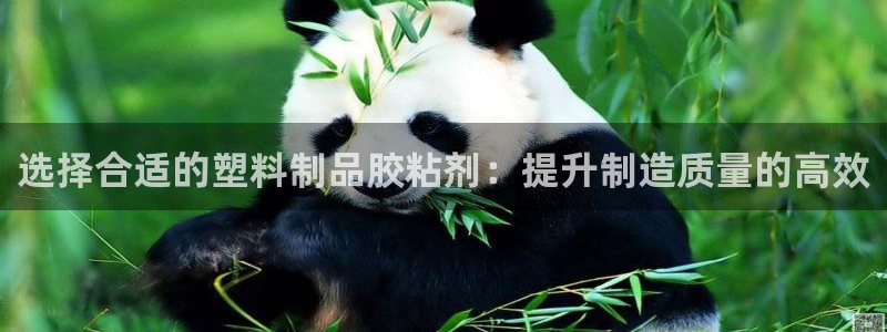 ag太阳集团：选择合适的塑料制品胶粘剂：提升制造质量的高效