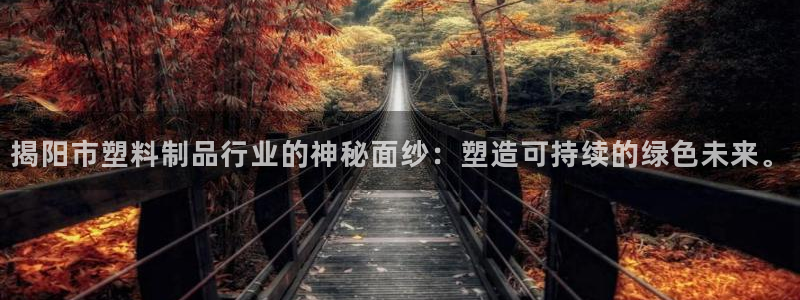 太阳app怎么下载：揭阳市塑料制品行业的神秘面纱：塑造可持续