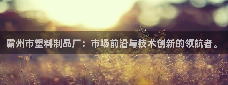 太阳集团董事长是谁呀：霸州市塑料制品厂：市场前沿与技术创新的