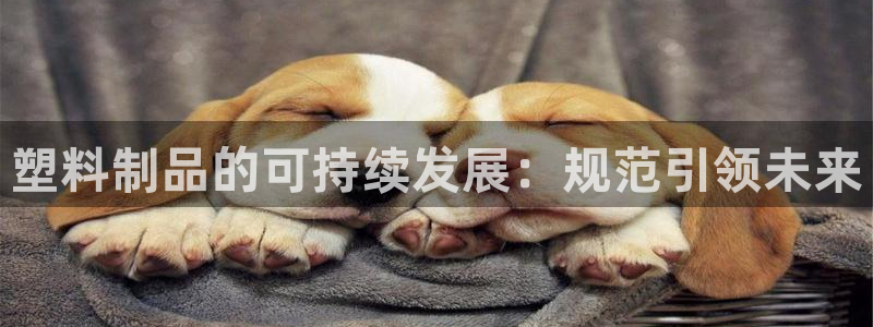 古天乐和太阳集团什么关系：塑料制品的可持续发展：规范引领未来