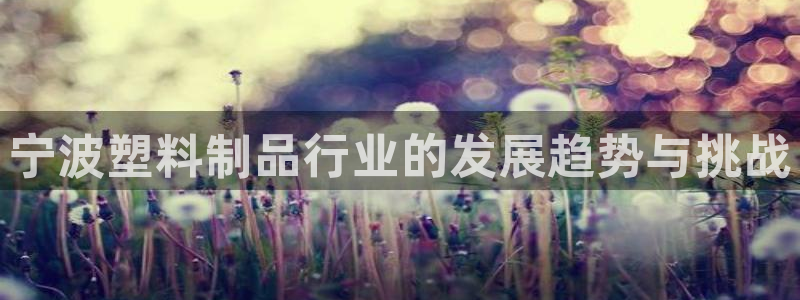 太阳gg平台注册：宁波塑料制品行业的发展趋势与挑战