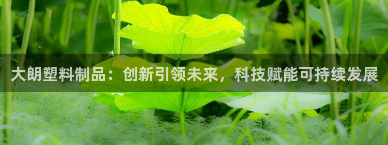 太阳集团娱乐官方网站下载：大朗塑料制品：创新引领未来，科技赋