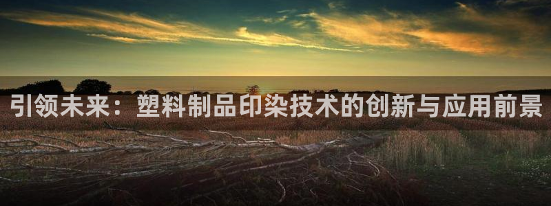 太阳集团主要是做什么的：引领未来：塑料制品印染技术的创新与应