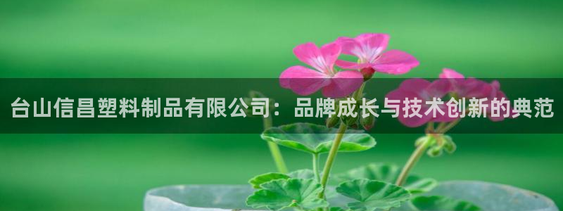 太阳集团下载链接：台山信昌塑料制品有限公司：品牌成长与技术创