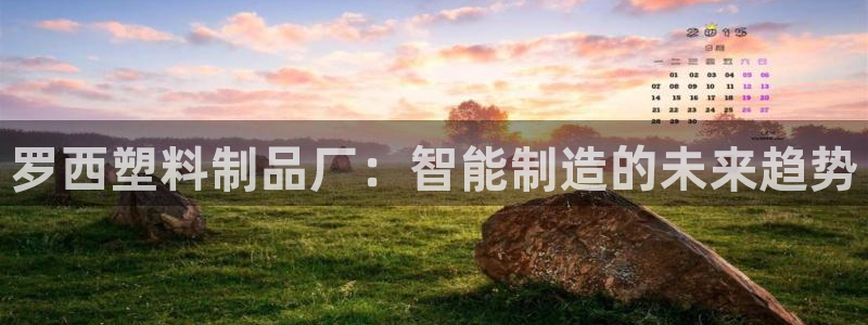 太阳c集团：罗西塑料制品厂：智能制造的未来趋势