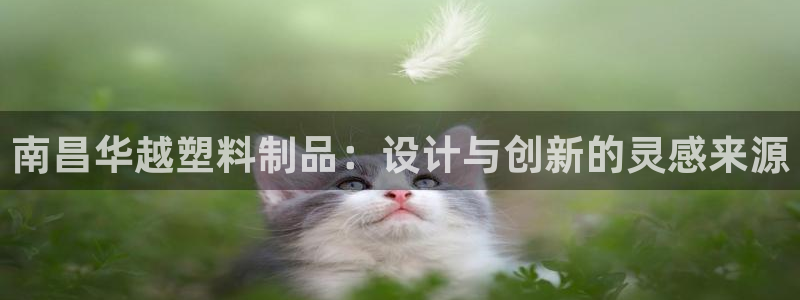 太阳成集团游戏是正规平台嚒：南昌华越塑料制品：设计与创新的灵