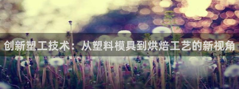 古天乐代言太阳网址ty：创新塑工技术：从塑料模具到烘焙工艺的