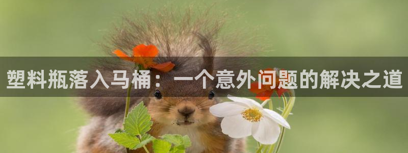 澳门太阳集团老板洗米华：塑料瓶落入马桶：一个意外问题的解决之