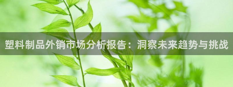 太阳集团入口官网网址：塑料制品外销市场分析报告：洞察未来趋势
