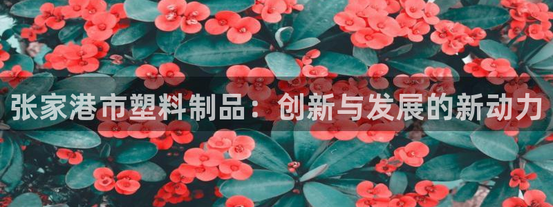 太阳集团地址：张家港市塑料制品：创新与发展的新动力