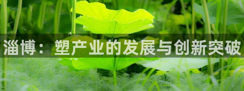 44118太阳成城集团：淄博：塑产业的发展与创新突破
