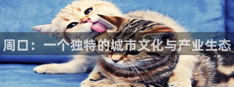 122cc太阳集成游戏官方网站：周口：一个独特的城市文化与产
