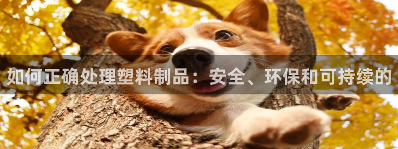 太阳集团城娱：如何正确处理塑料制品：安全、环保和可持续的