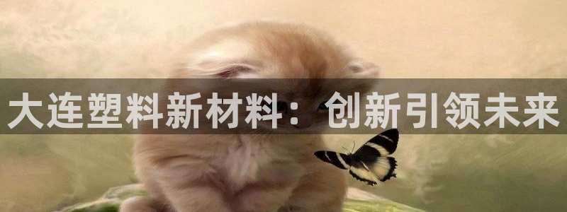 太阳集团房地产：大连塑料新材料：创新引领未来
