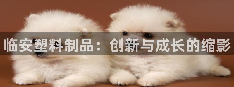 太阳成集团不能提现：临安塑料制品：创新与成长的缩影