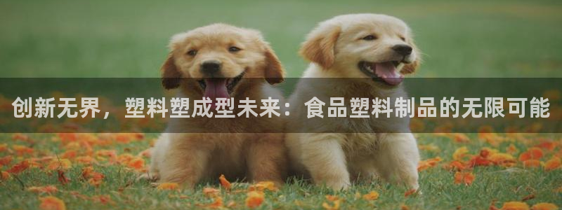 太阳集团房地产：创新无界，塑料塑成型未来：食品塑料制品的无限