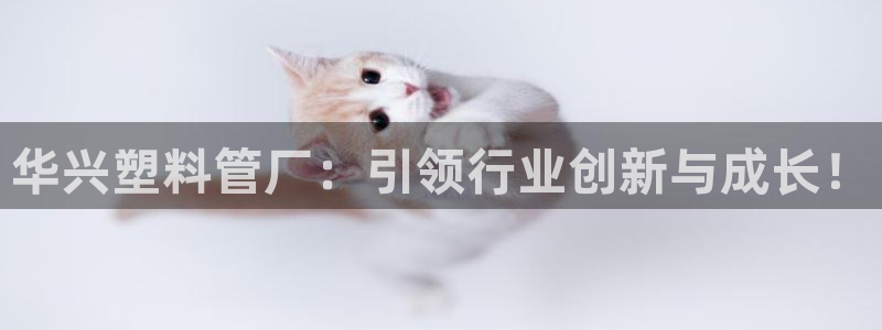 太阳集团官网导航：华兴塑料管厂：引领行业创新与成长！