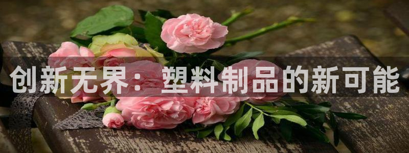 122cc太阳集成游戏官方网站版：创新无界：塑料制品的新可能