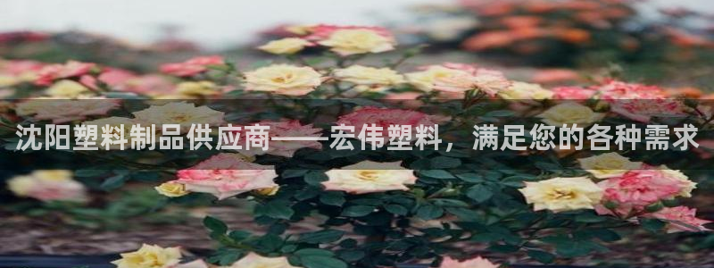 太阳集团城网址娱网
