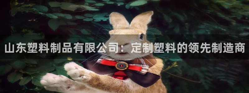 太阳2平台下载