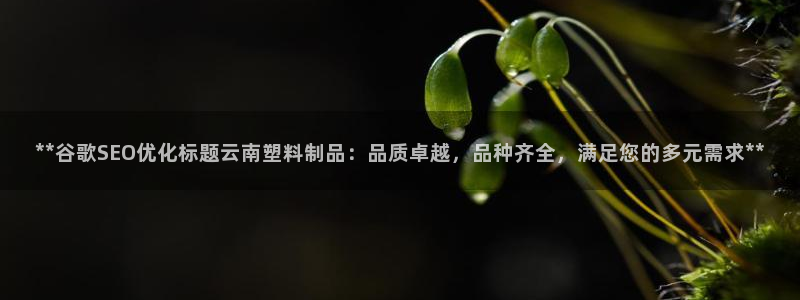 太阳集团城网站2017