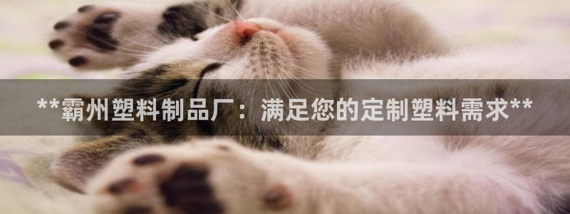 太阳集团城官方app下载苹果