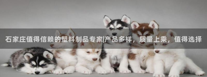 太阳集团游戏官方网址8827：石家庄值得信赖的塑料制品专家|