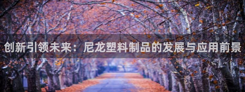 太阳集团网站入口官网：创新引领未来：尼龙塑料制品的发展与应用
