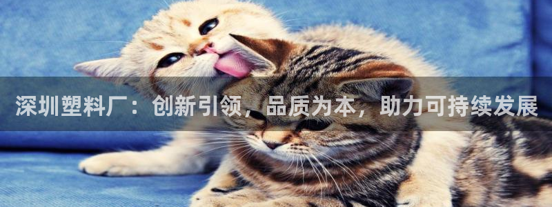太阳成集团是什么：深圳塑料厂：创新引领，品质为本，助力可持续